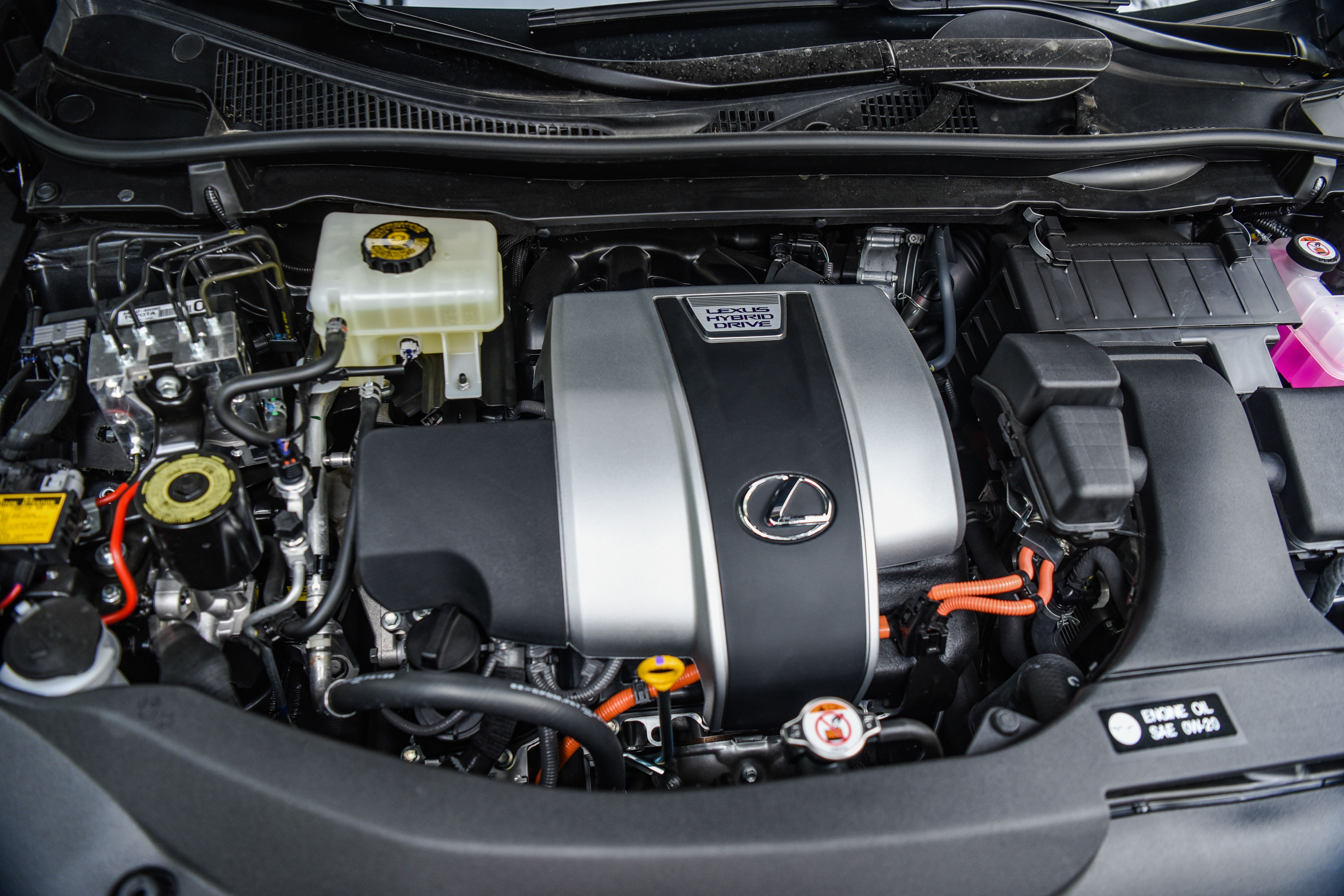 Lexus RX450h F-Sport 2022 anh 16