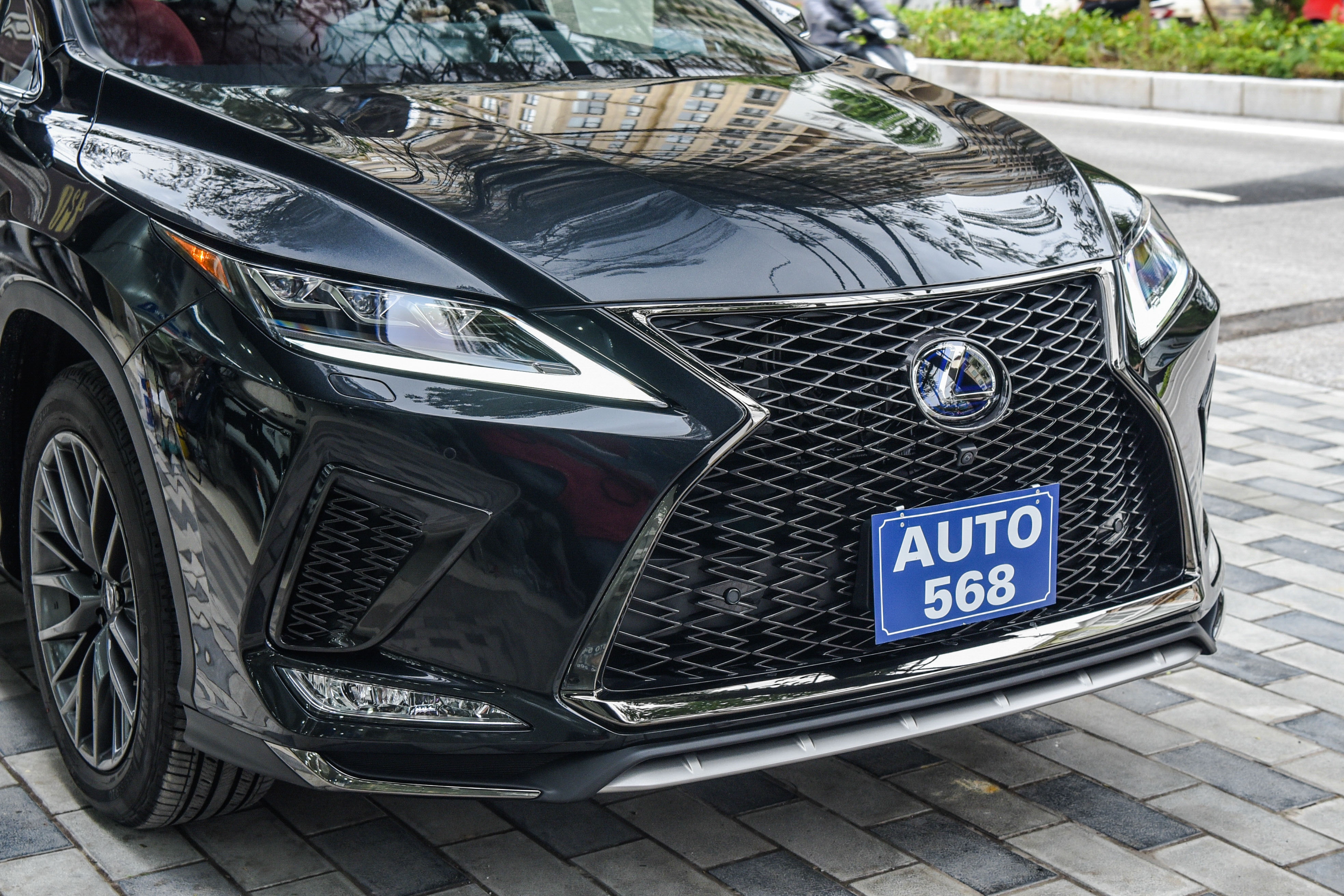 Lexus RX450h F-Sport 2022 anh 5