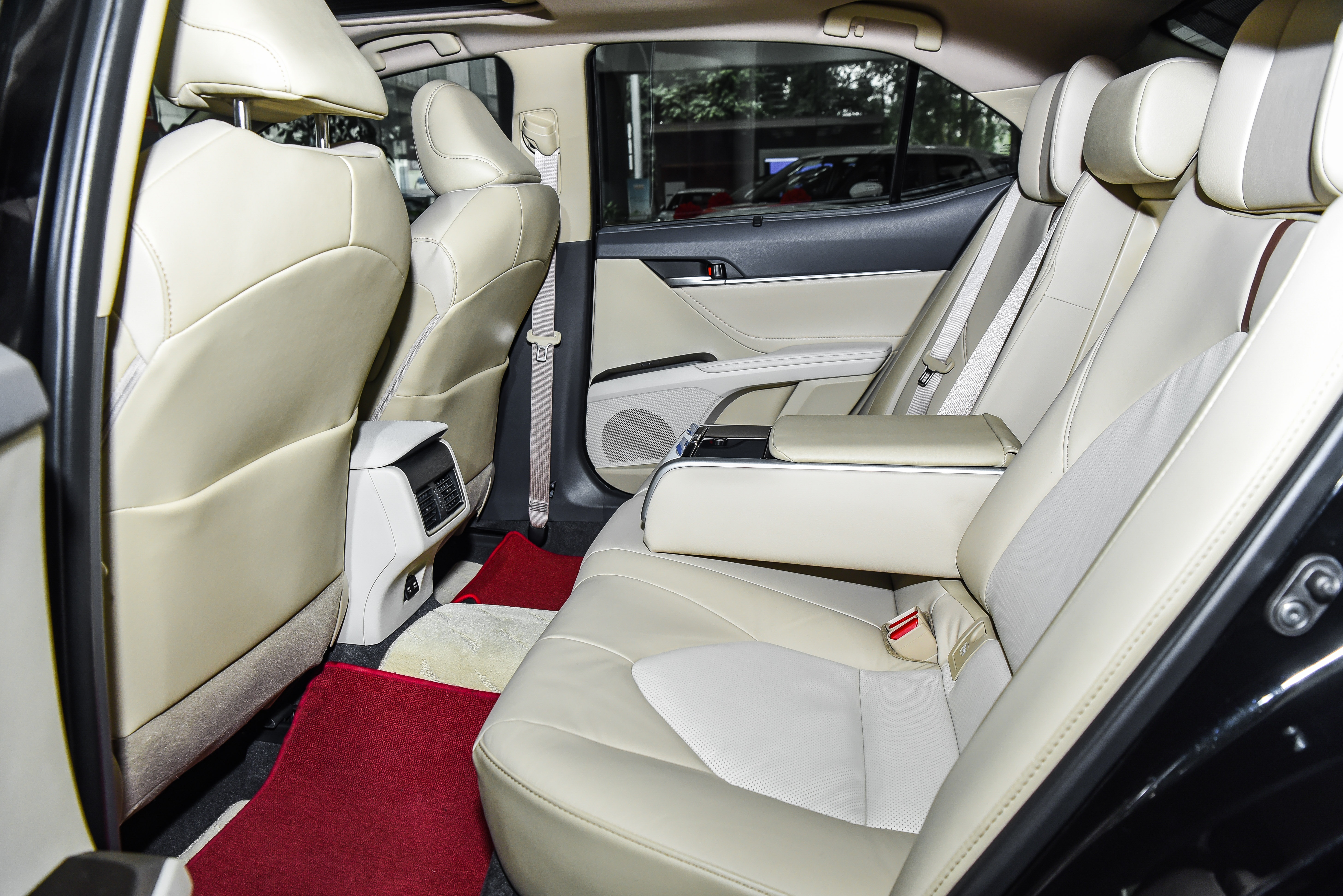 Giá lăn bánh ảnh 4 Gia lan banh anh 4