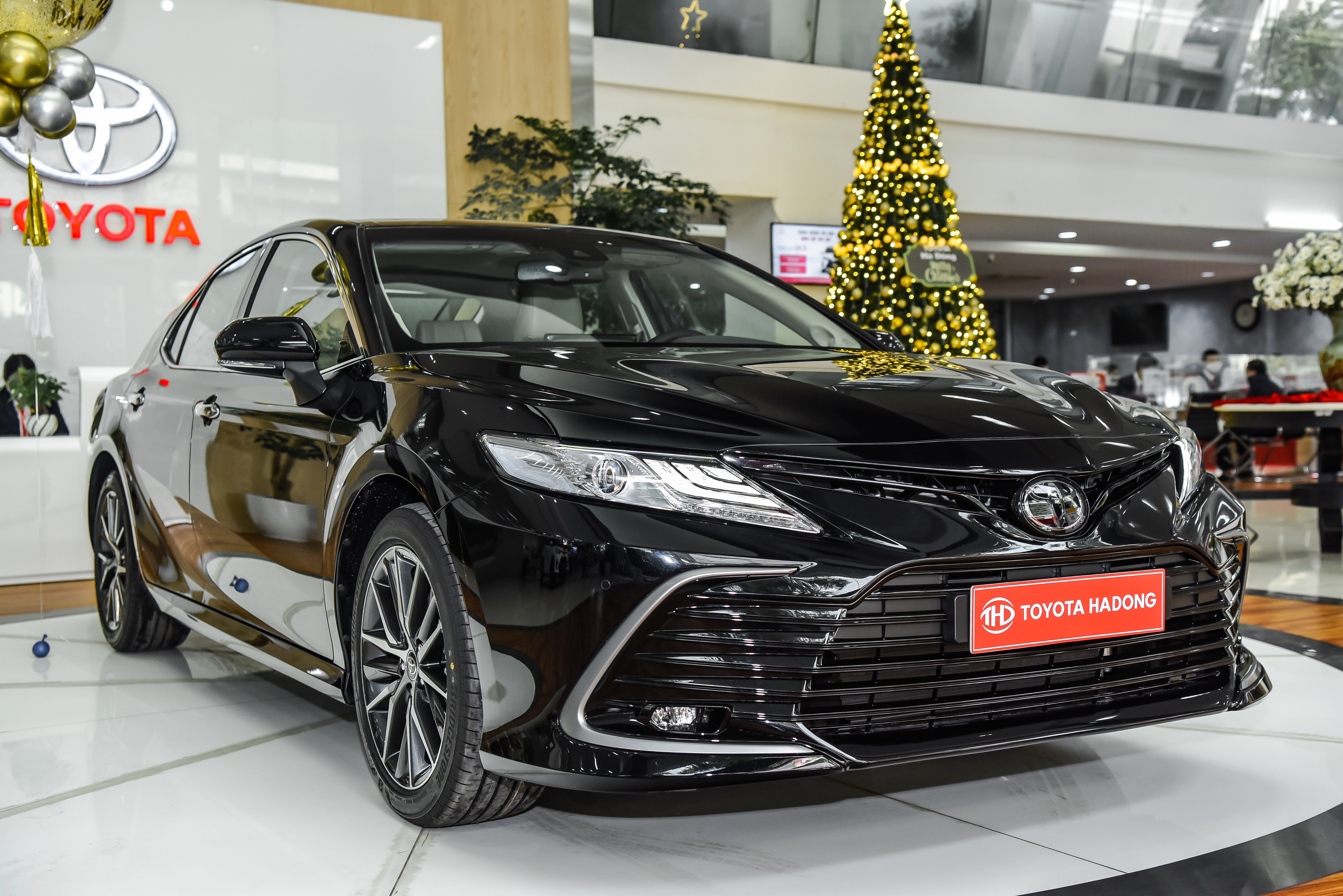 Giá lăn bánh ảnh 1 Gia lan banh anh 1