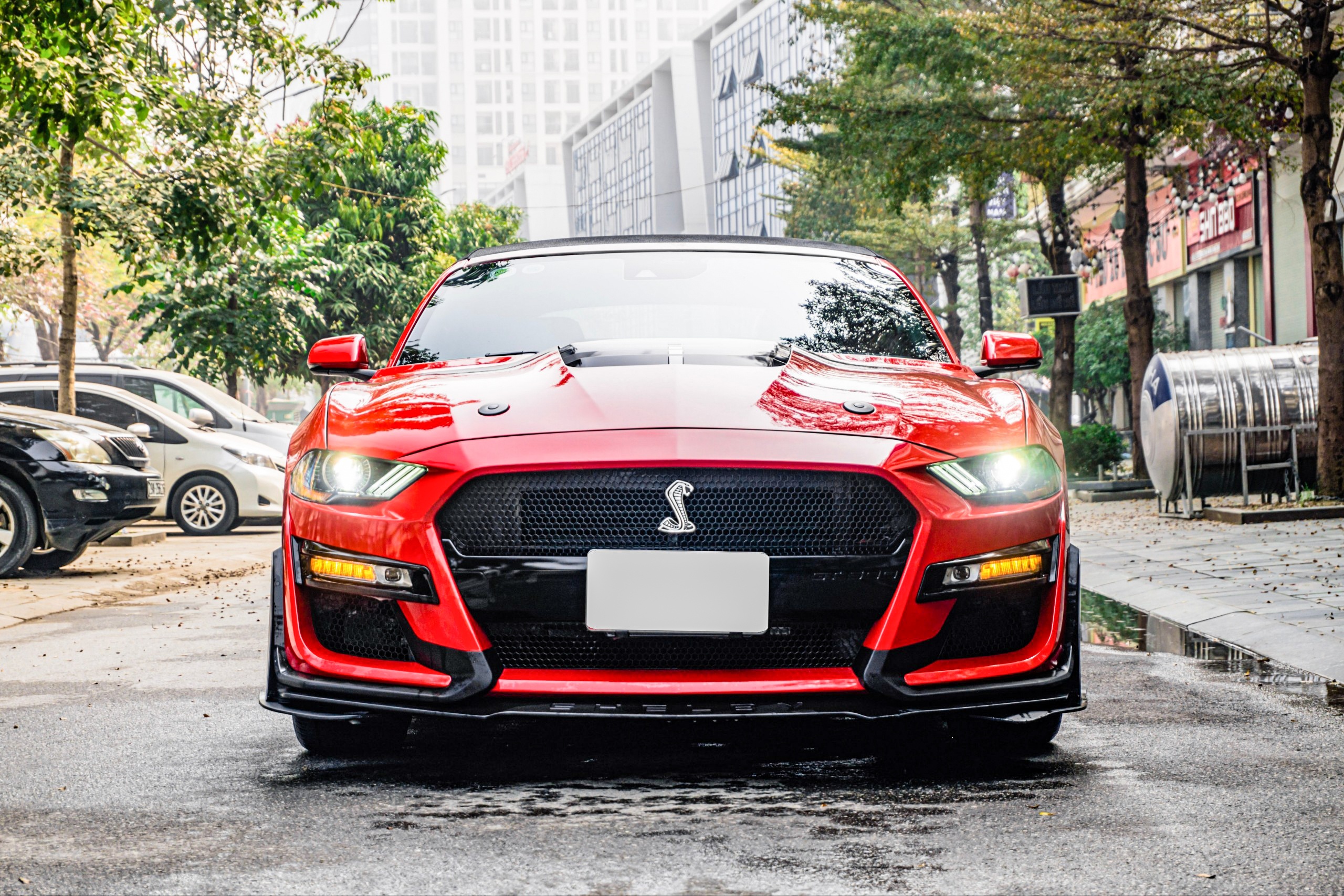 Ford Mustang mui trần ảnh 4 Ford Mustang mui tran anh 4