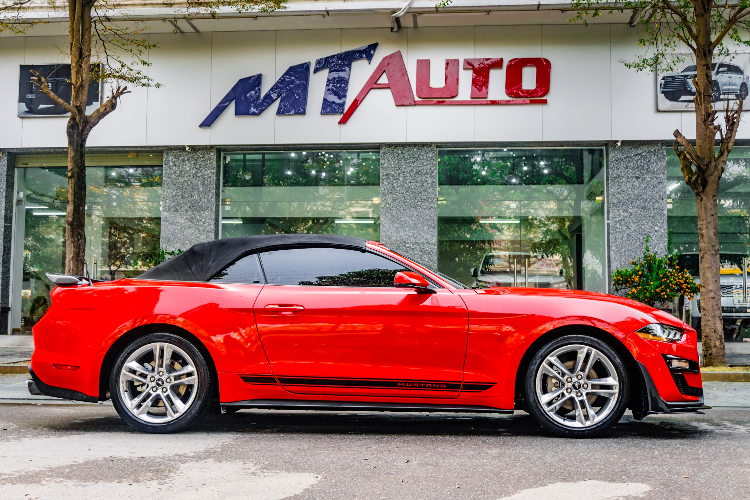 Ford Mustang mui tran anh 11
