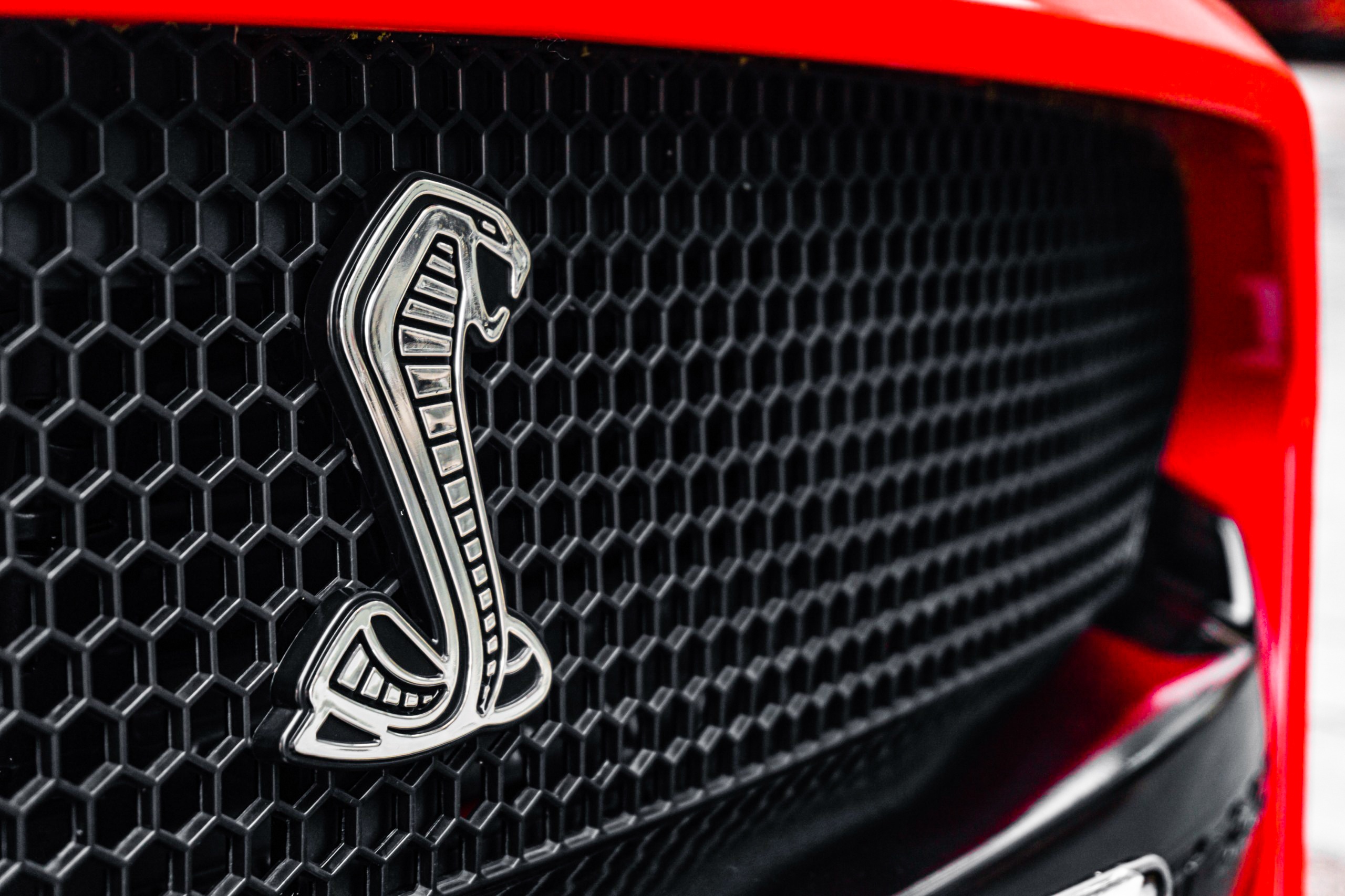 Ford Mustang mui tran anh 6