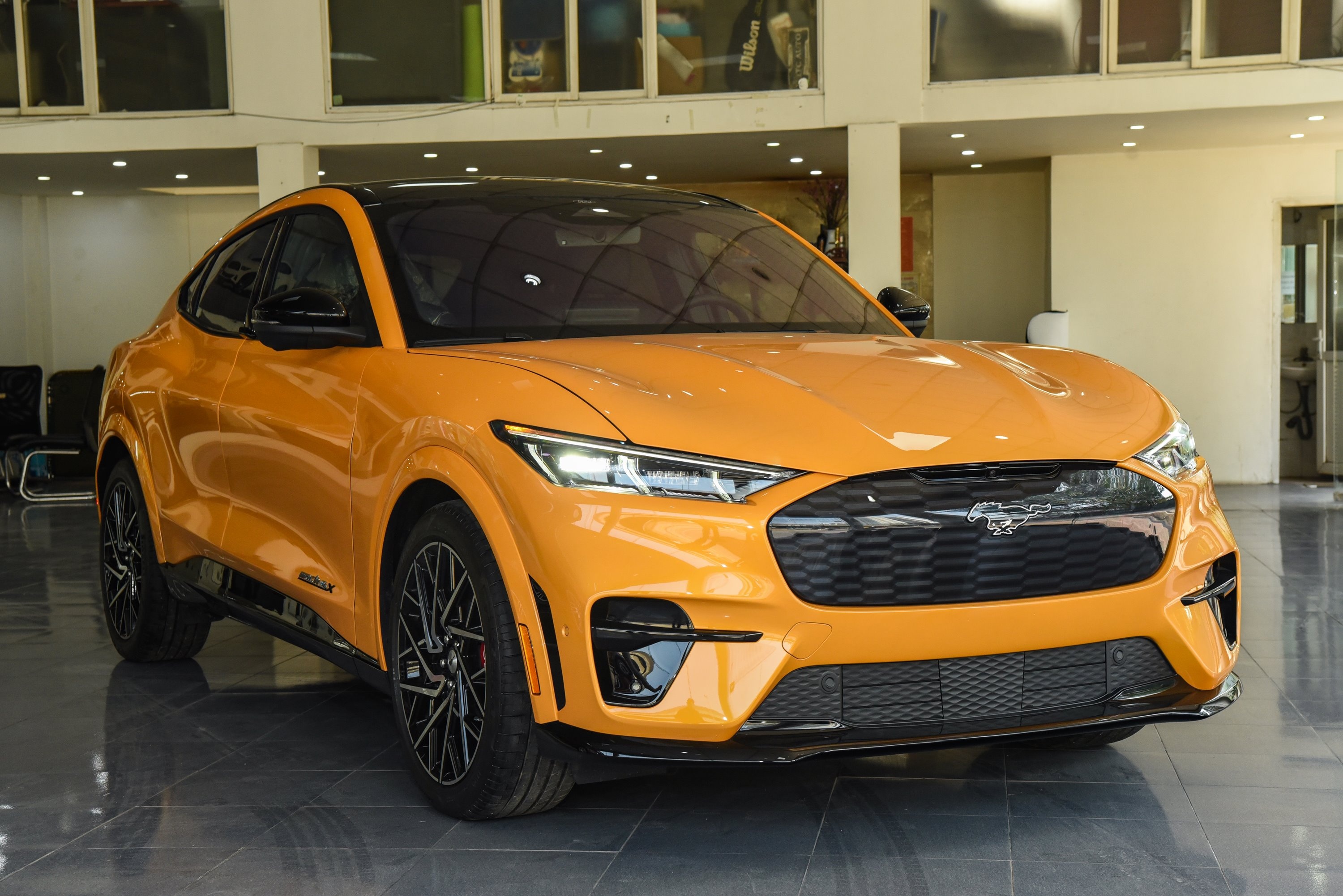 SUV dien Ford Mustang Mach E anh 1