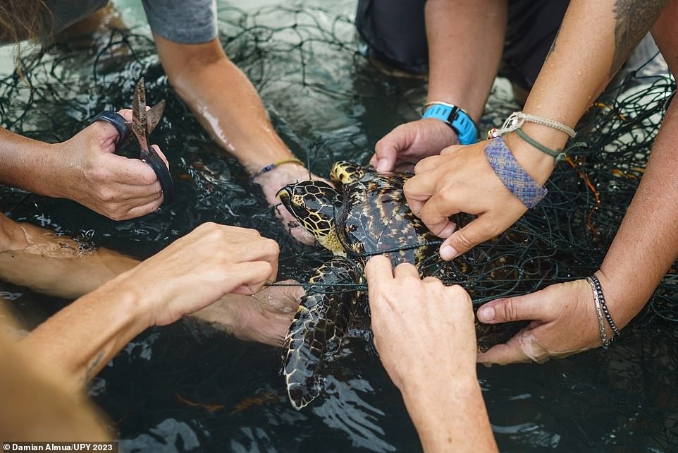 nhiep anh duoi dai duong anh 17