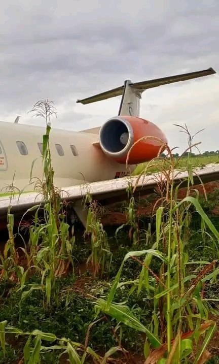 máy bay đáp xuống ruộng ảnh 2 may bay dap xuong ruong anh 2