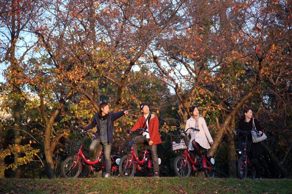 du lich nhat ban anh 5