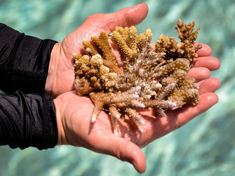 du lich maldives anh 2