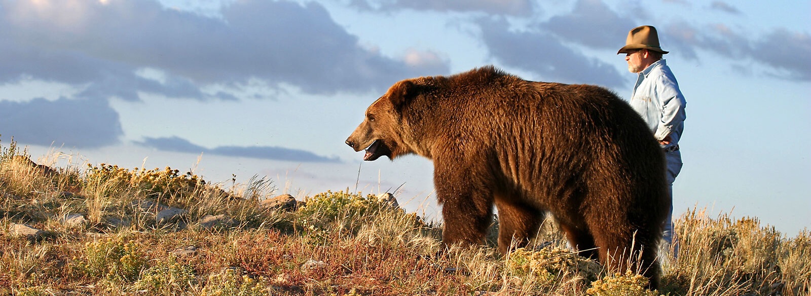 dong vat giau nhat the gioi anh 9