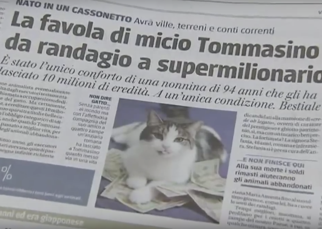 dong vat giau nhat the gioi anh 6