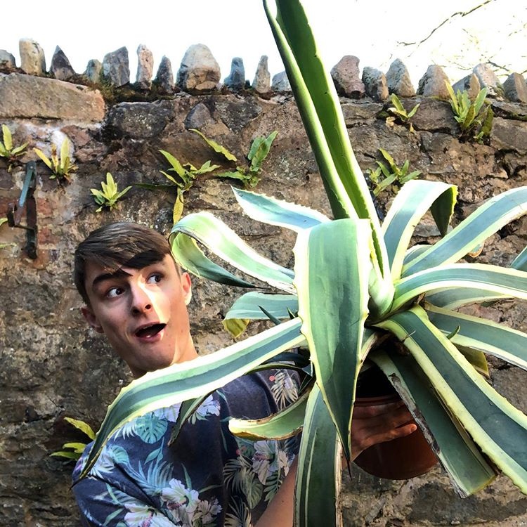 chang trai trong 1400 cay trong nha anh 1