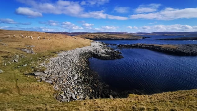 mac ket o hoang dao vi dich Covid-19 anh 1