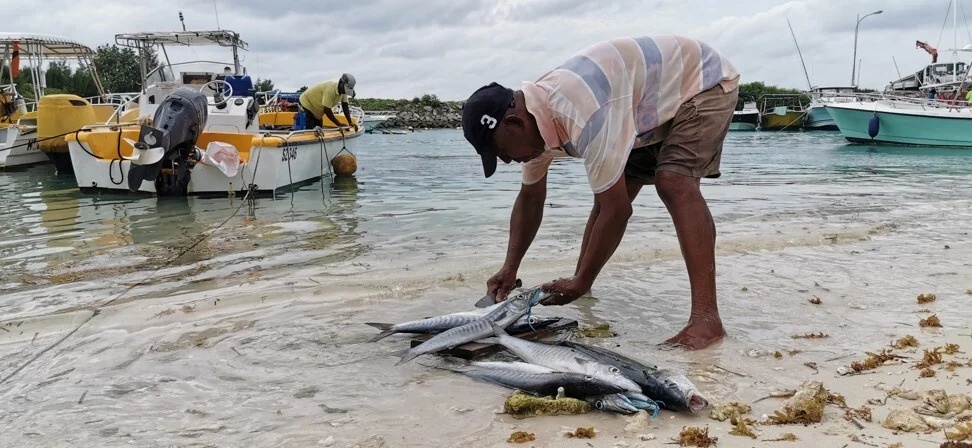 gia dinh Rex Yang bat ngo thanh vlogger trieu view anh 2