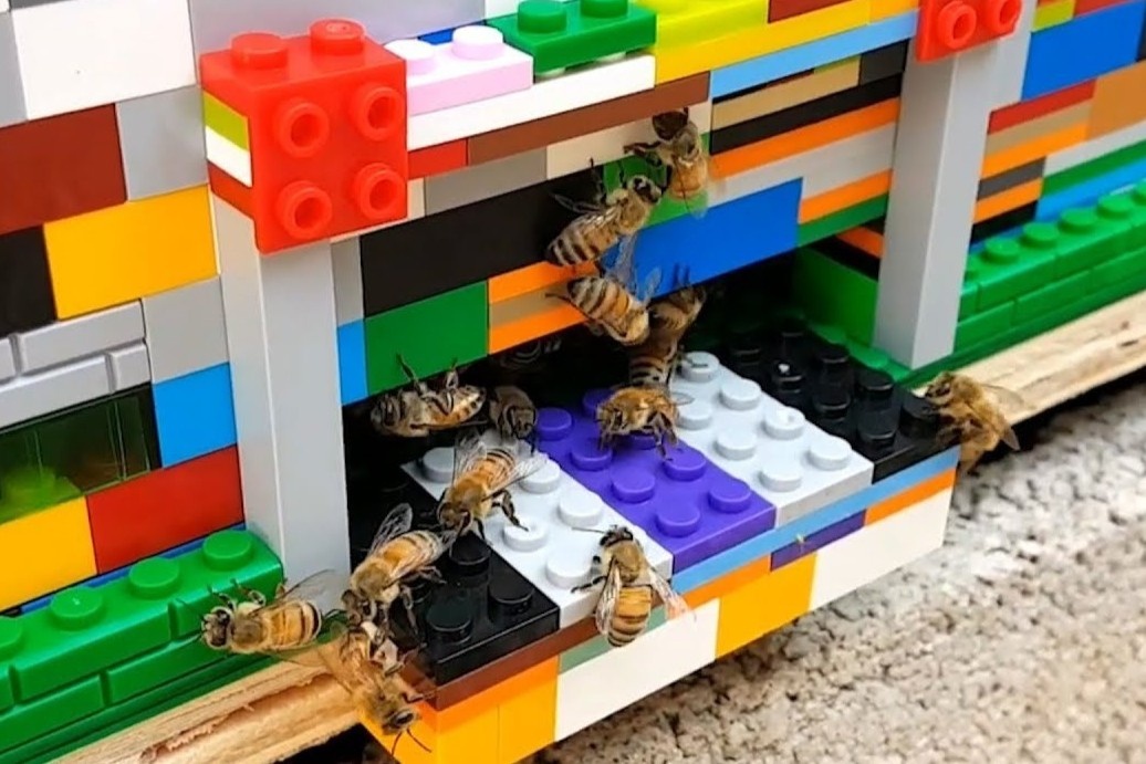 'Ngoi nha' hoan toan bang LEGO cua hon 30.000 chu ong hinh anh