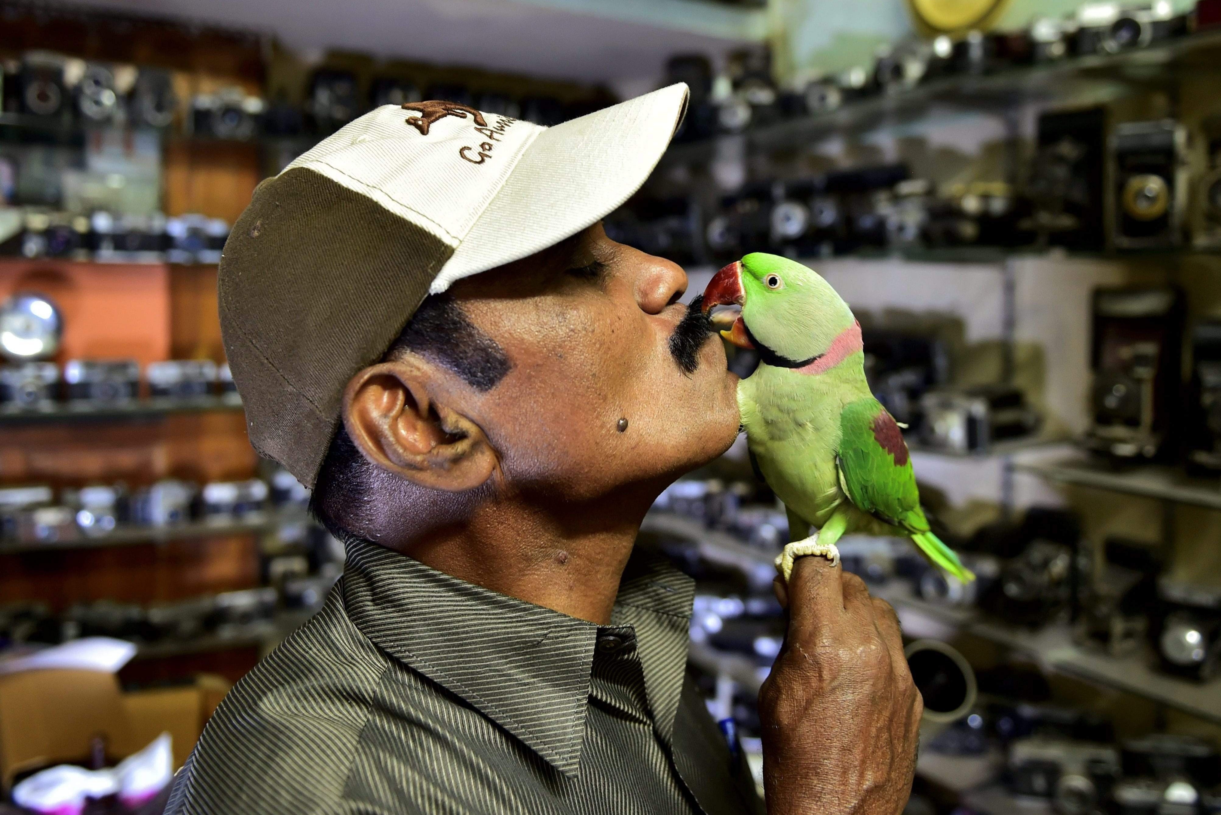 'Nguoi Chim' tu nguyen cho 4000 con vet an moi ngay hinh anh