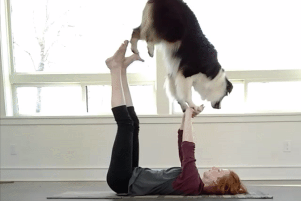 Chu cho tap yoga, choi dan, ve tranh hinh anh