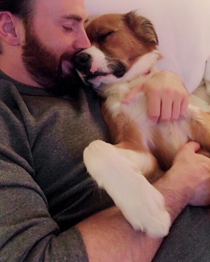 chris evans lộ ảnh ảnh 2 chris evans lo anh anh 2