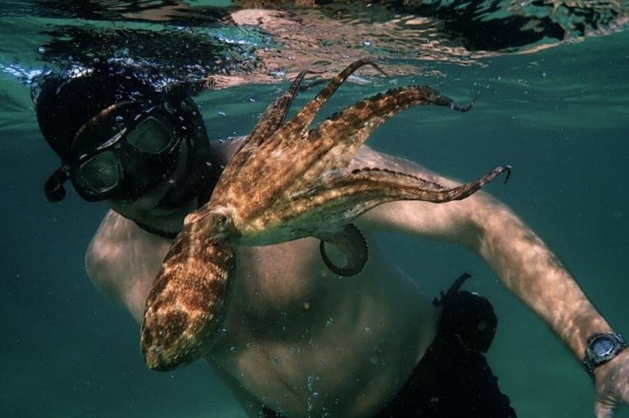 Nguoi dan ong ket than voi bach tuoc suot mot nam hinh anh