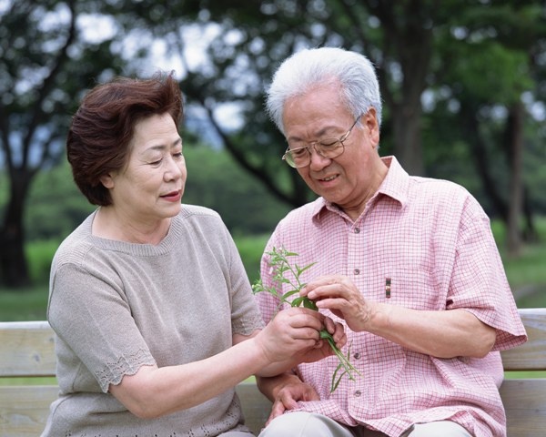 người già tìm tình yêu ảnh 2 nguoi gia tim tinh yeu anh 2