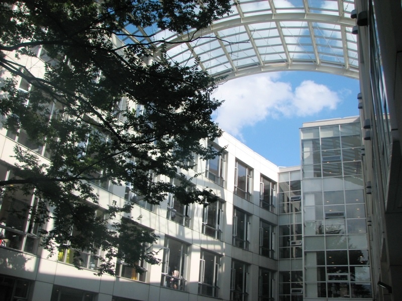 nam sinh Nhat Ban gia mao anh 1