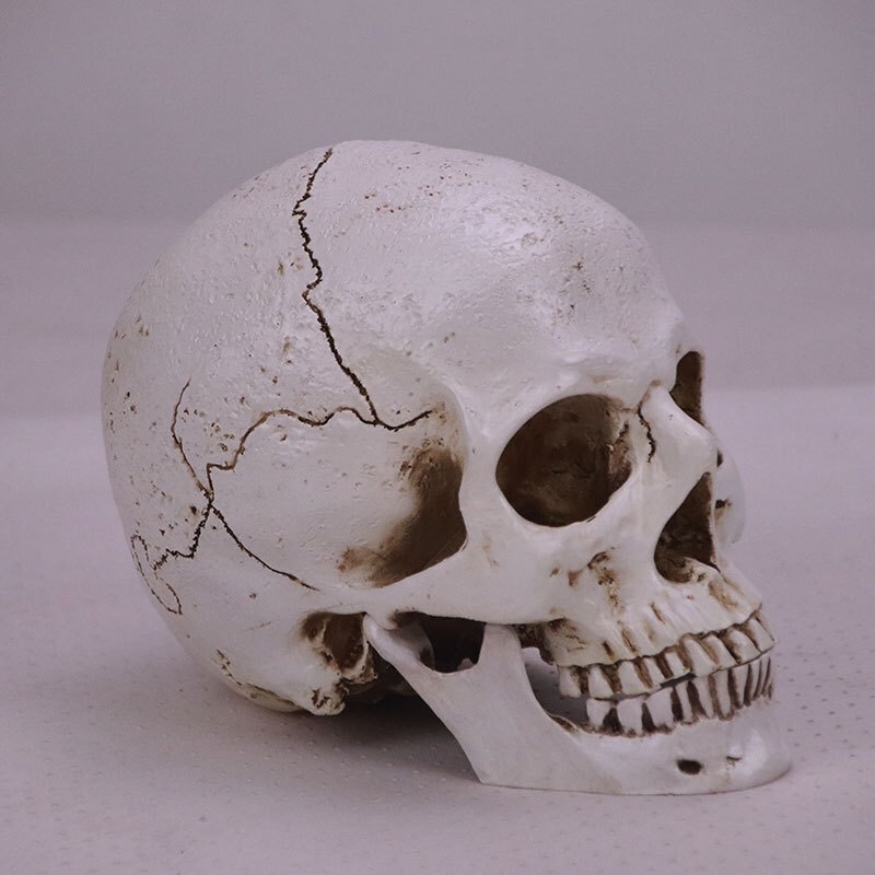 món đồ kỳ quặc bán online ảnh 2 mon do ky quac ban online anh 2