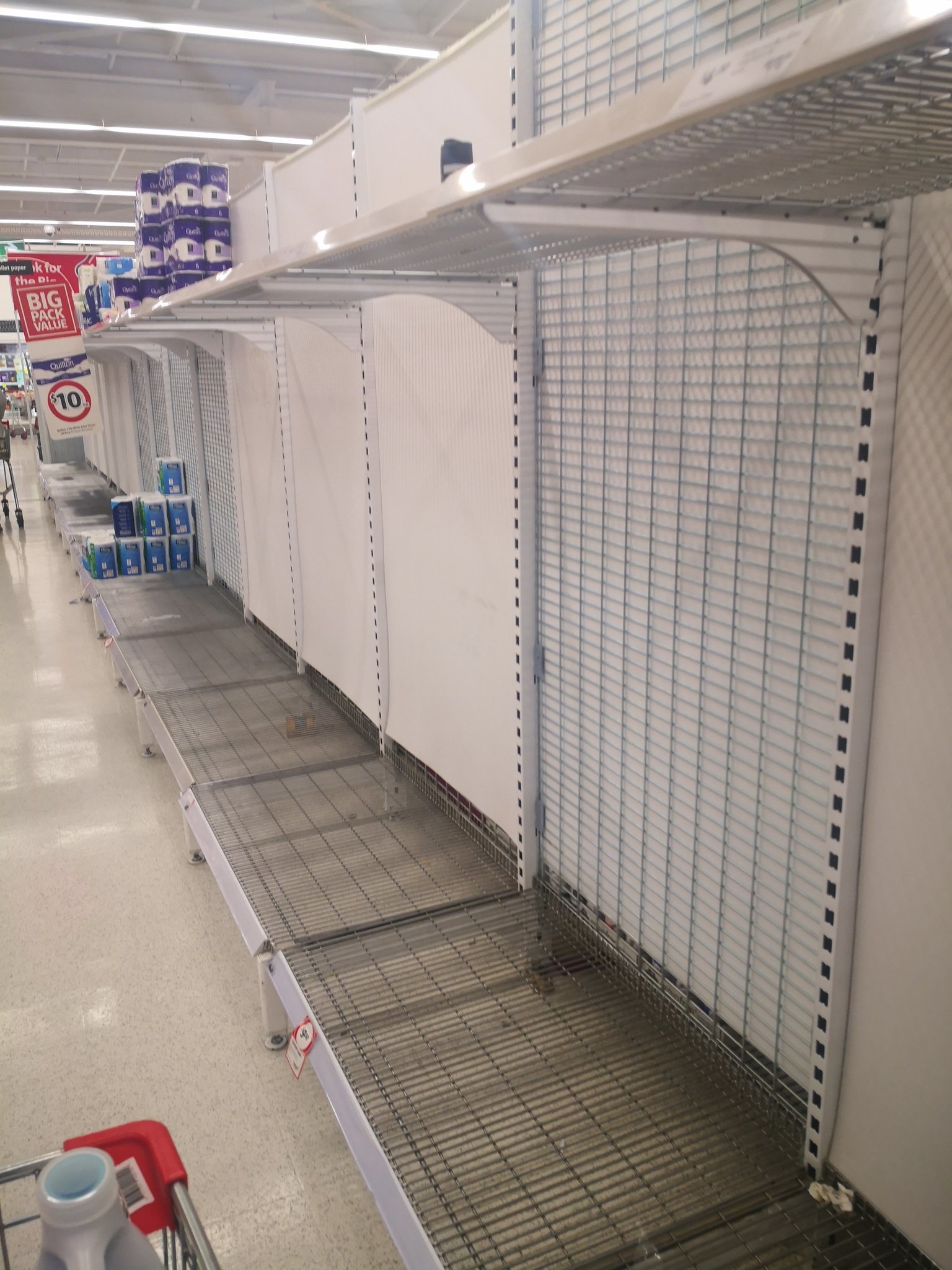 giay ve sinh chay hang anh 2