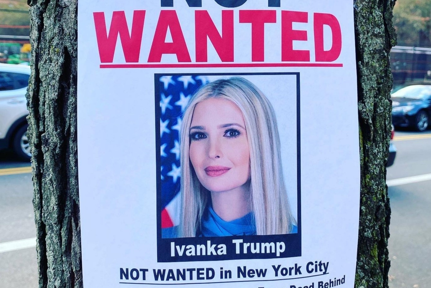 Poster 'Khong chao don Ivanka Trump' xuat hien khap New York hinh anh