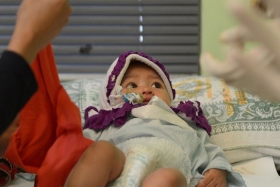 Hu tuc cat bo am vat tan nhan voi be gai o Singapore hinh anh