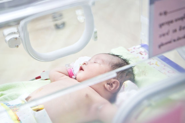 Han Quoc dau dau vi gioi tre ngai de con hinh anh