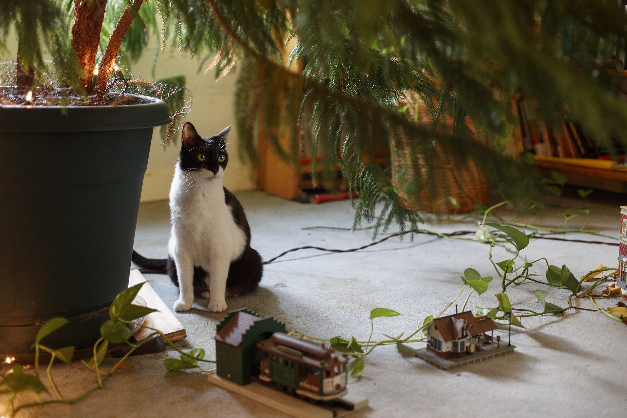 sống miễn phí trong biệt thự Mỹ ảnh 3 song mien phi trong biet thu My anh 3