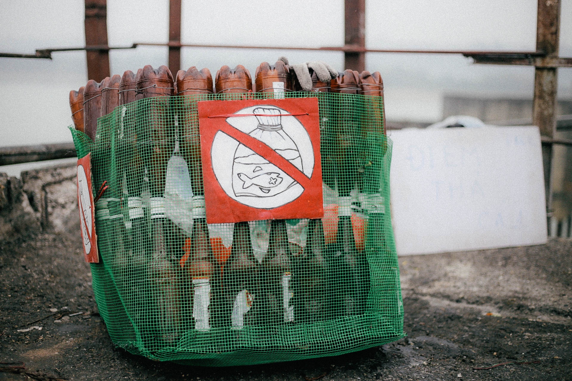 thả cá chép ngày ông Táo ảnh 6 tha ca chep ngay ong Tao anh 6