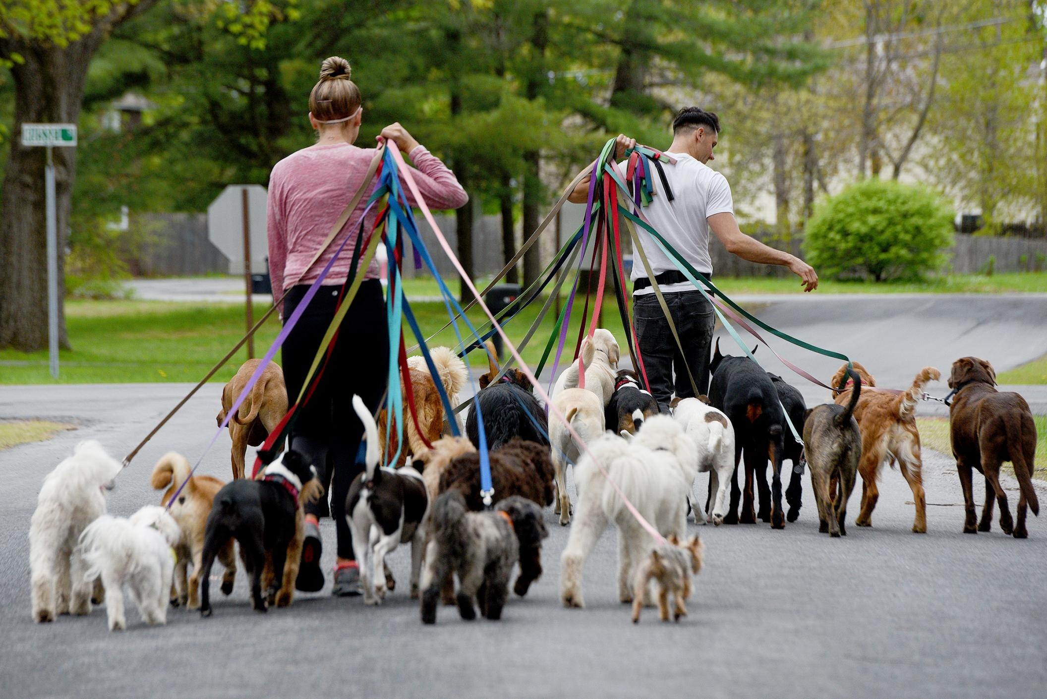 nan trom cho o Anh anh 1