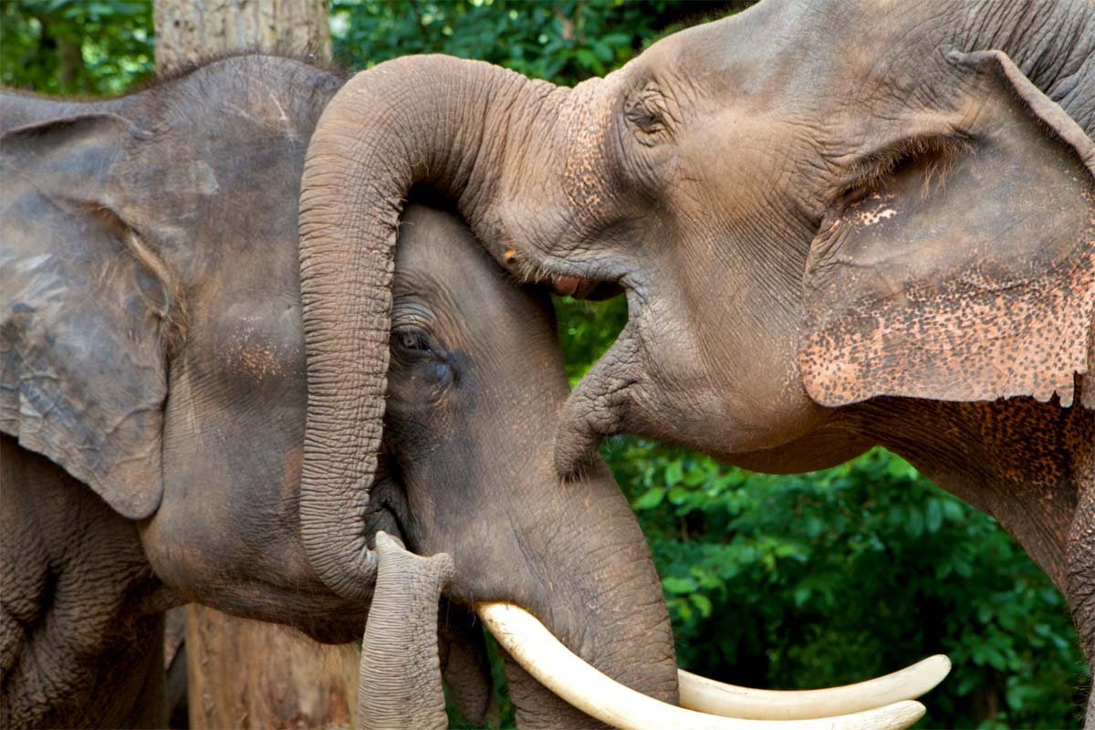 thanh pho than thien nhat the gioi anh 4