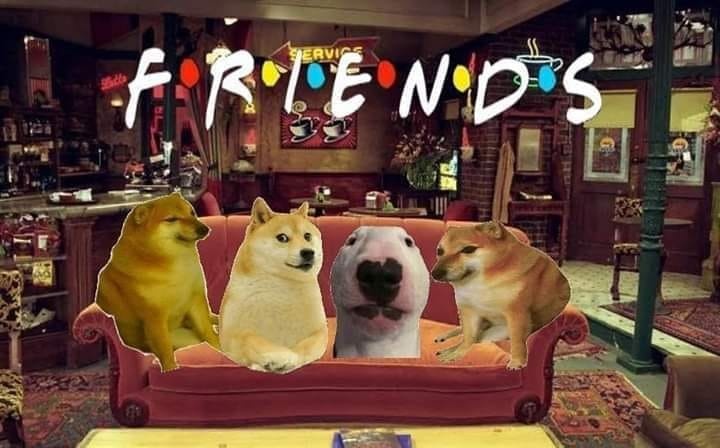 meme cheems là gì ảnh 6 meme cheems la gi anh 6