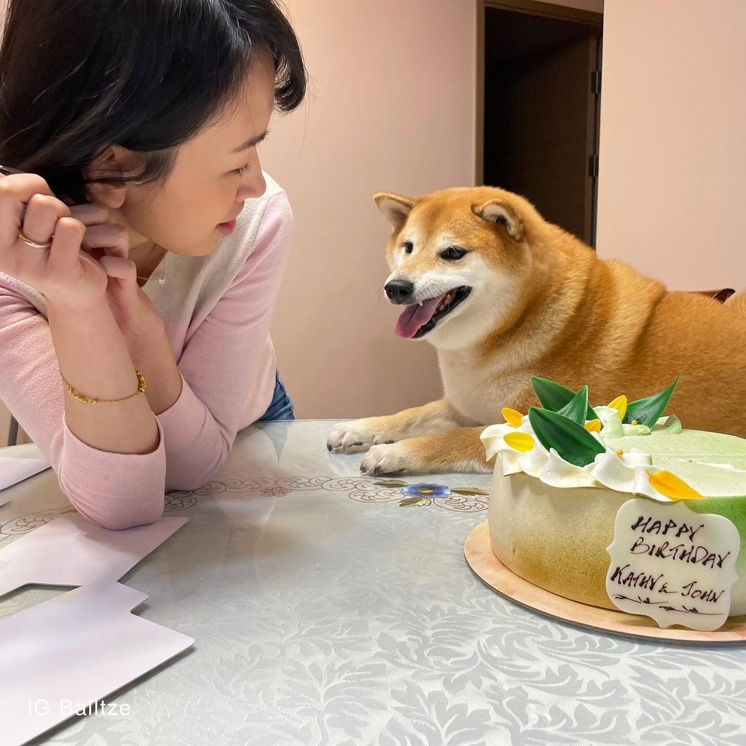 meme cheems là gì ảnh 8 meme cheems la gi anh 8