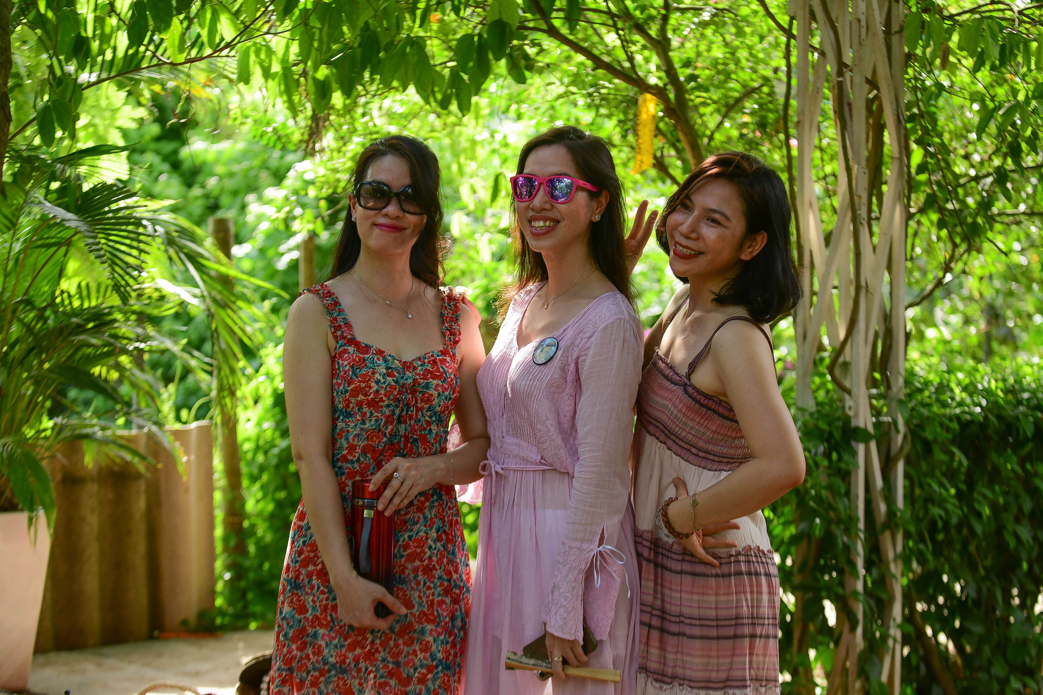 con đường hoa tường vi Hà Nội ảnh 7 con duong hoa tuong vi Ha Noi anh 7