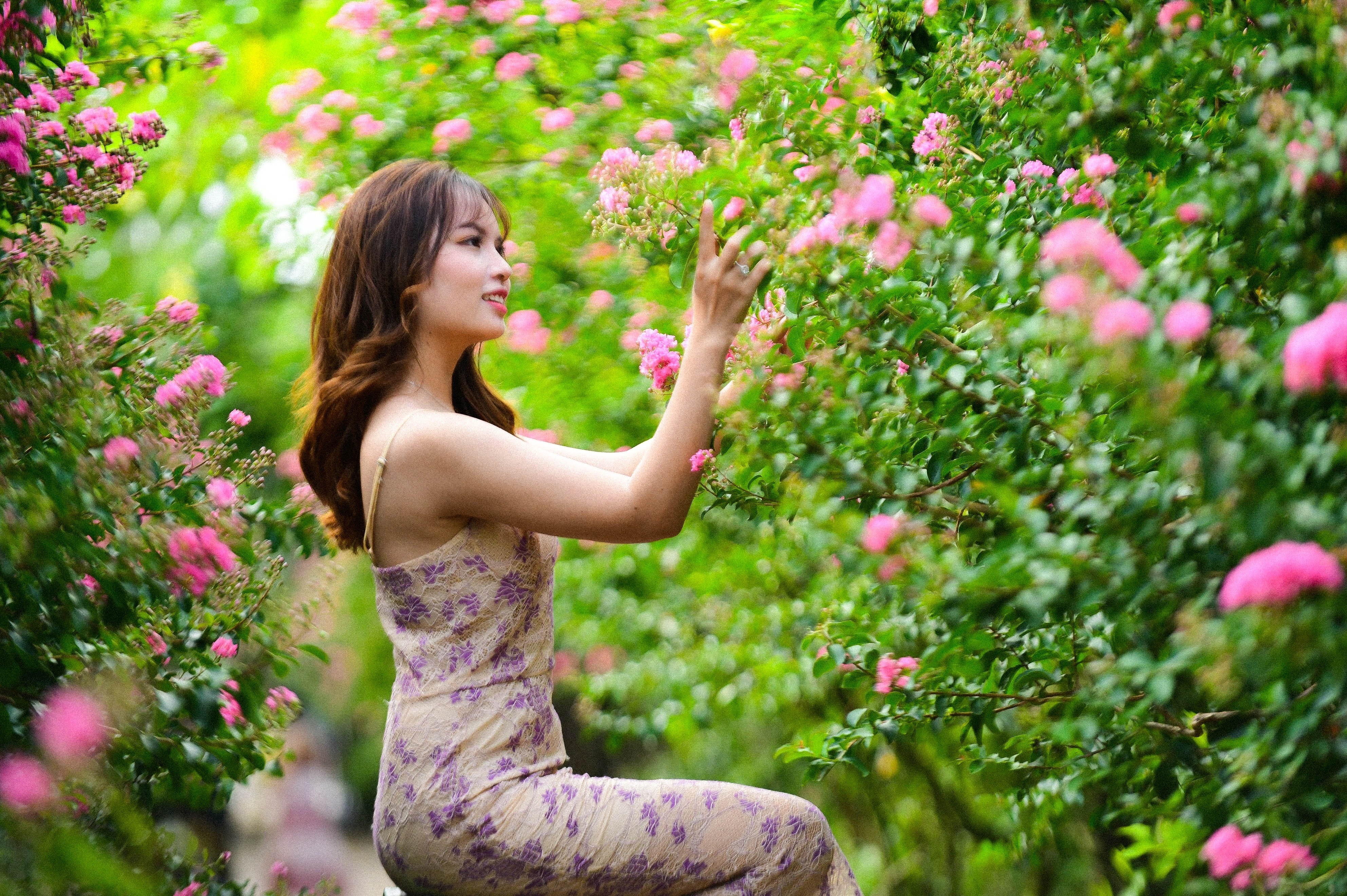 Con duong hoa tuong vi o Ha Noi thu hut du khach hinh anh