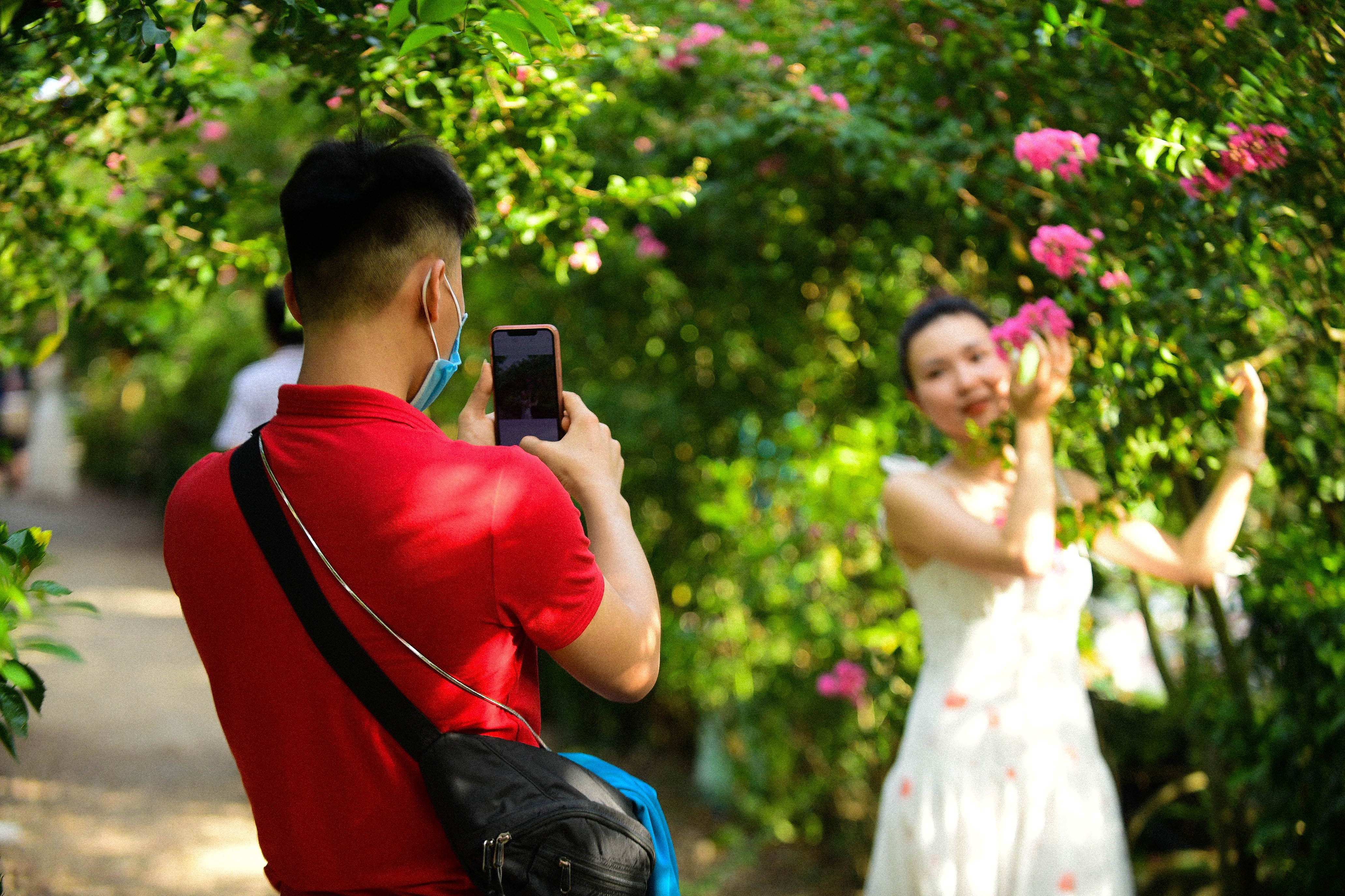 con đường hoa tường vi Hà Nội ảnh 3 con duong hoa tuong vi Ha Noi anh 3