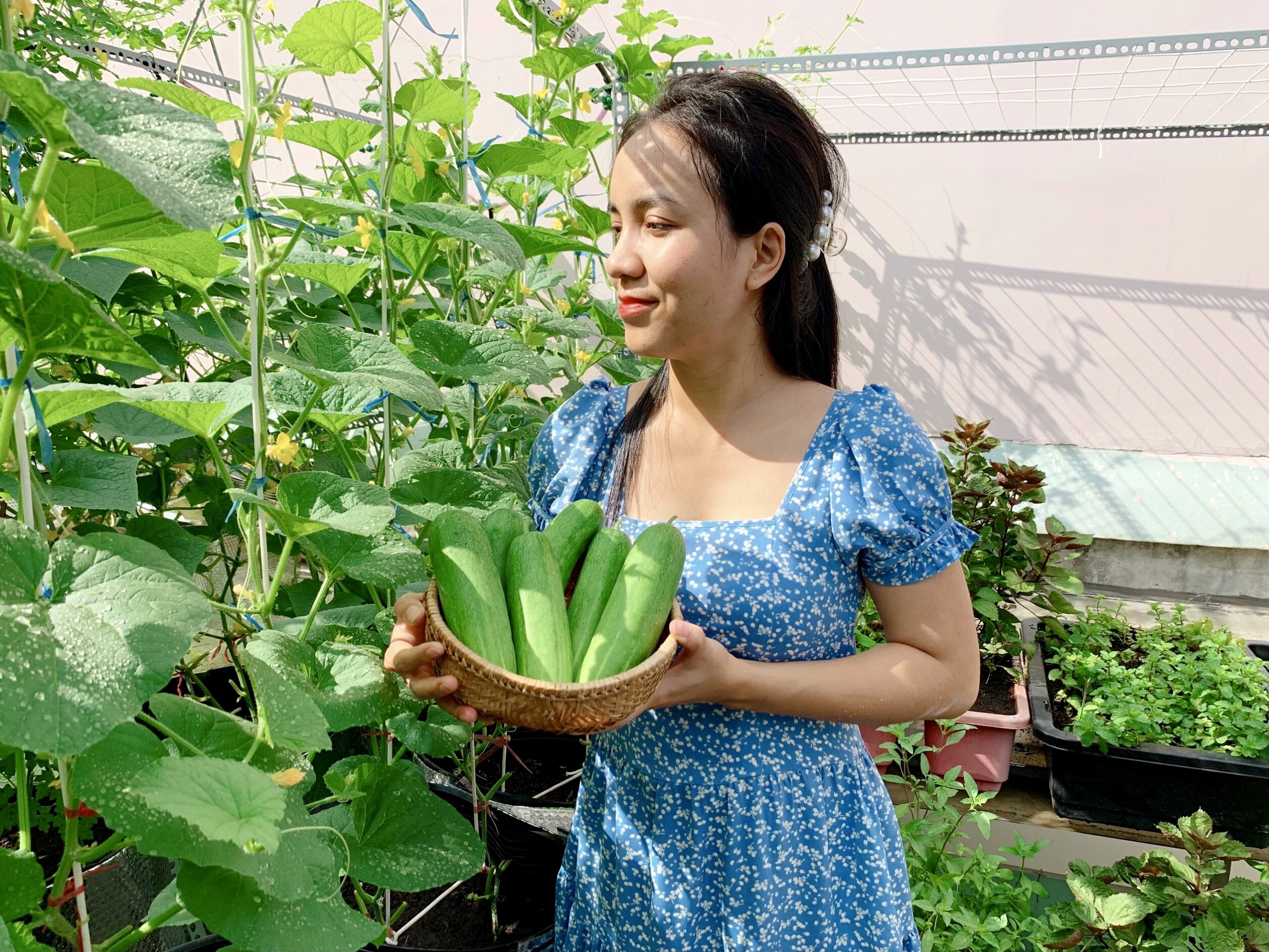 tu trong rau ngoai ban cong anh 1