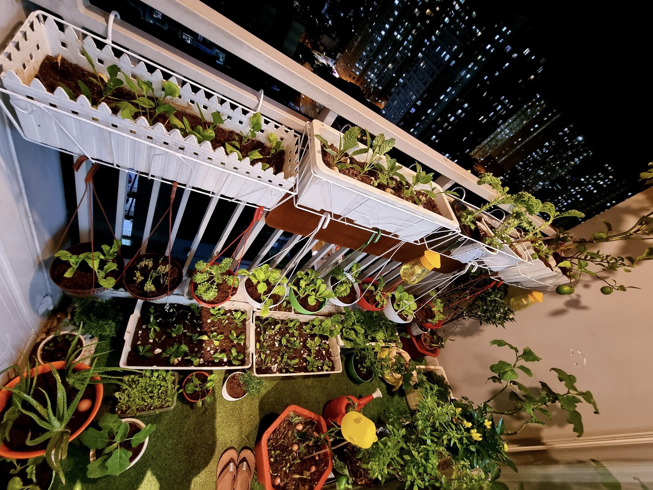 tu trong rau ngoai ban cong anh 2