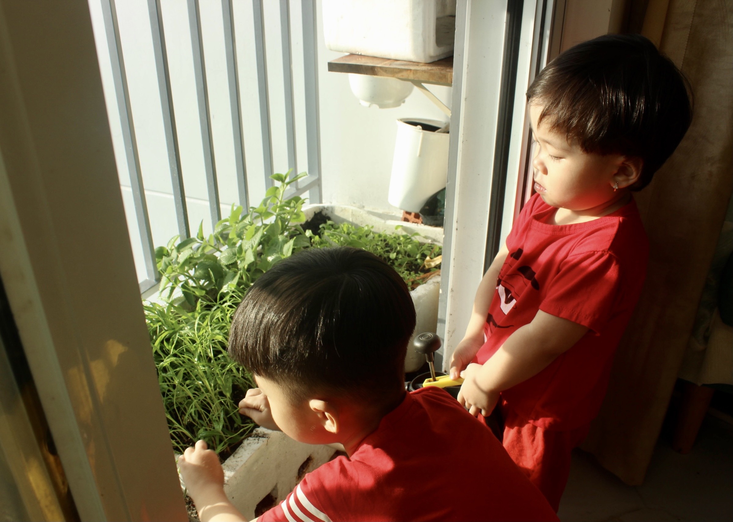 tu trong rau ngoai ban cong anh 9