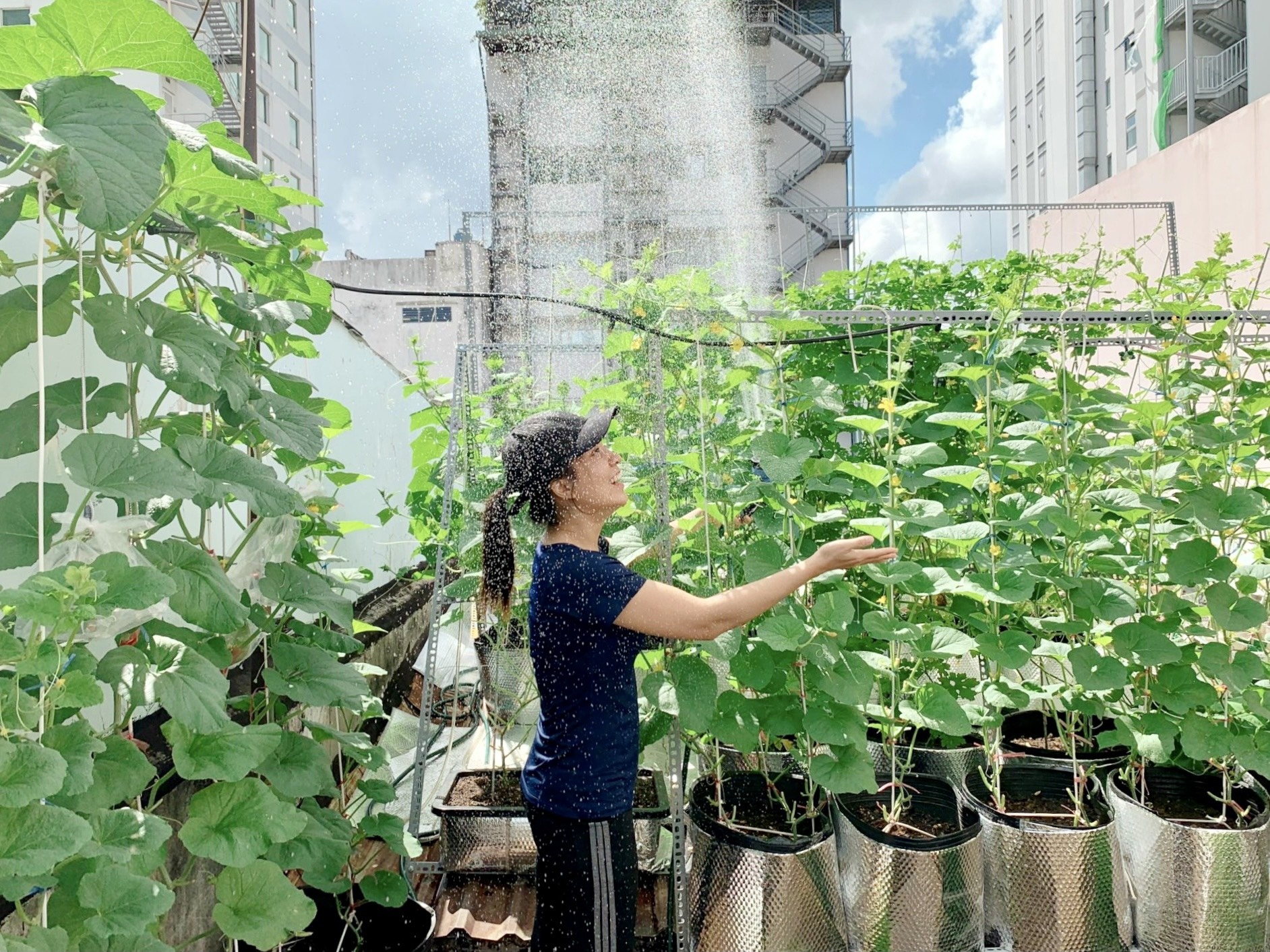 tu trong rau ngoai ban cong anh 11