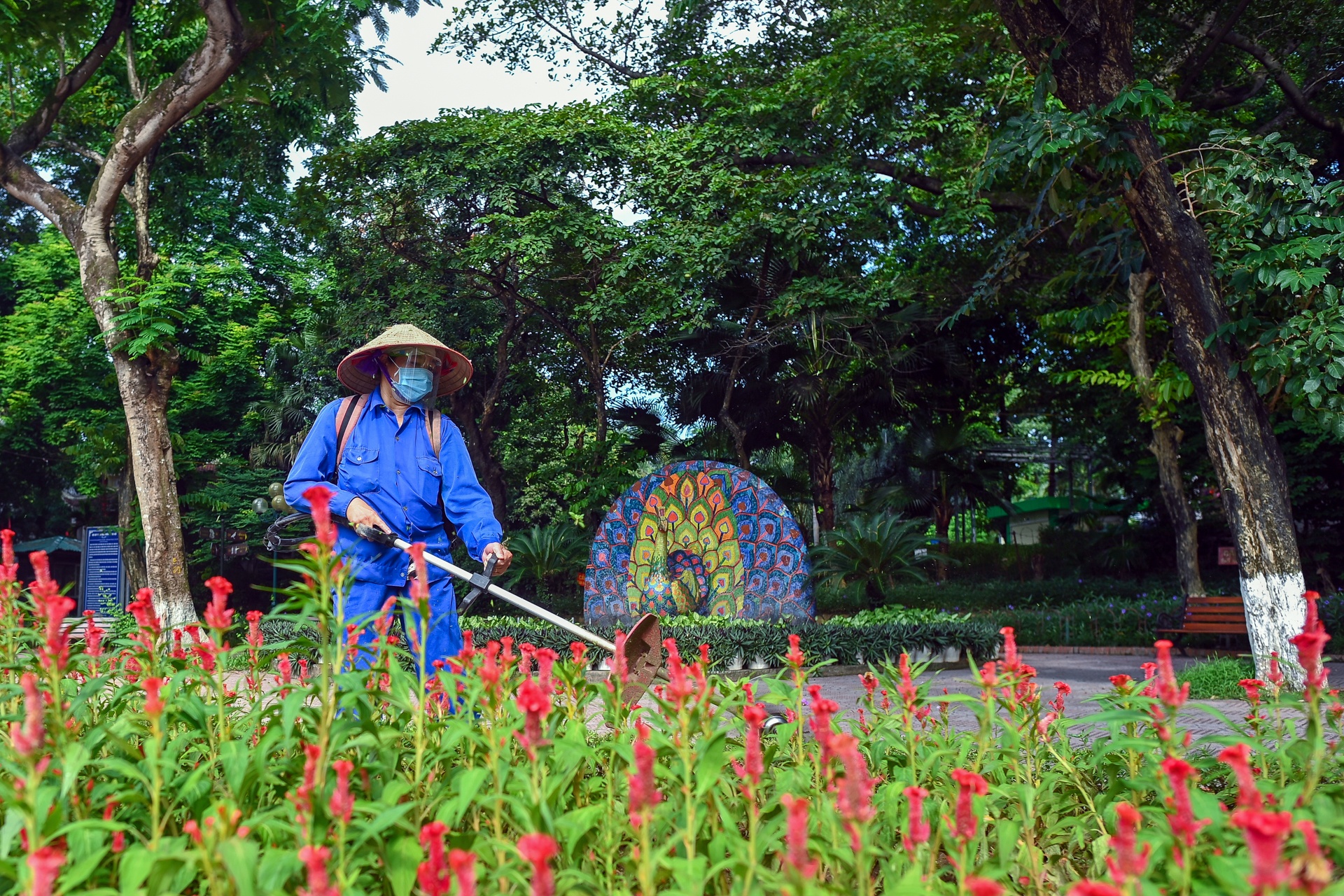 vườn thú Hà Nội trong mùa dịch ảnh 4 vuon thu Ha Noi trong mua dich anh 4