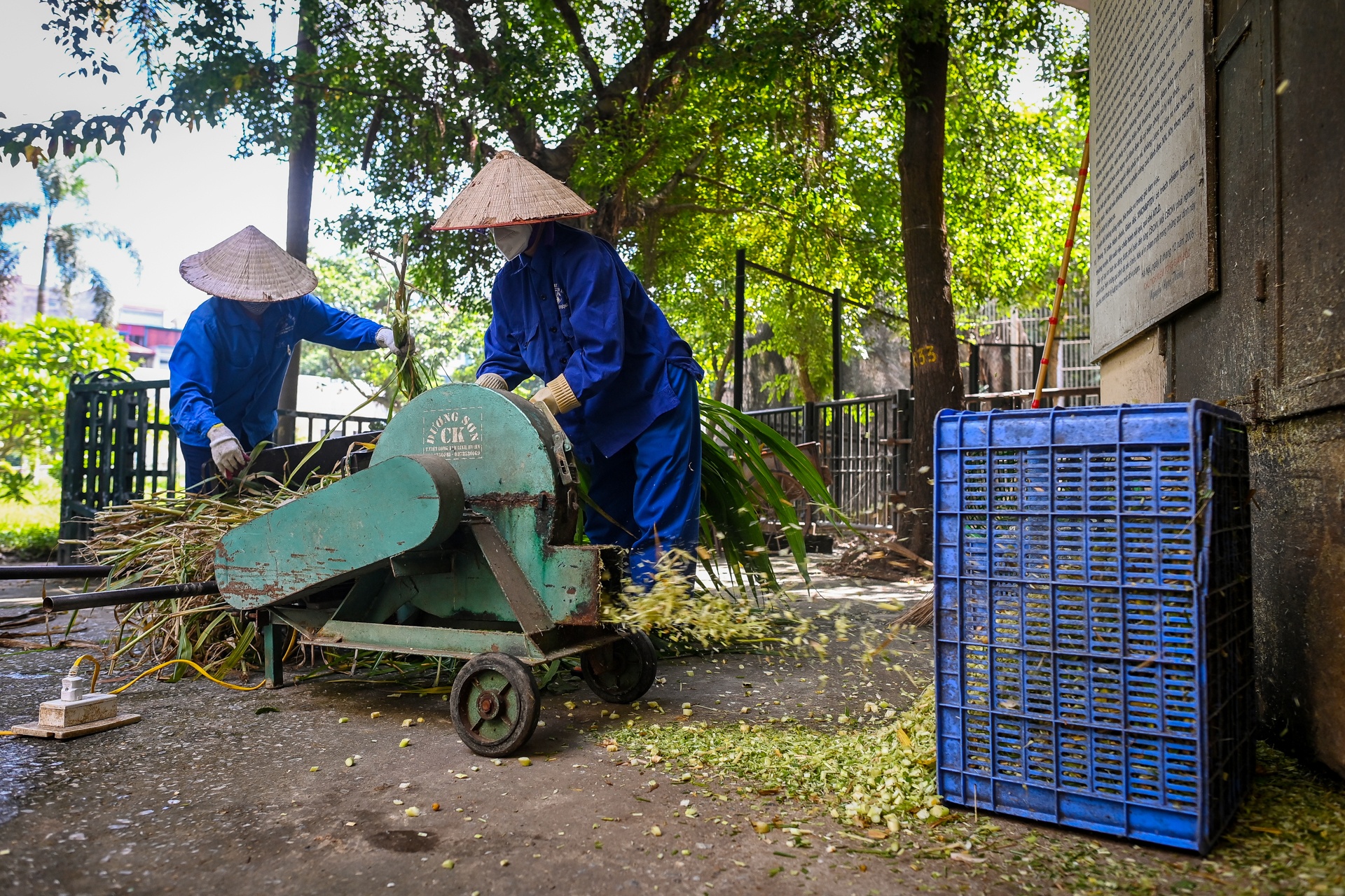 vườn thú Hà Nội trong mùa dịch ảnh 6 vuon thu Ha Noi trong mua dich anh 6