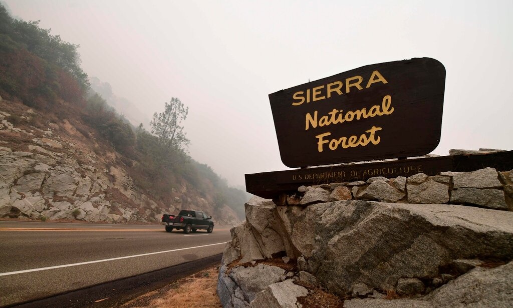 cai chet bi an cua gia dinh My anh 2