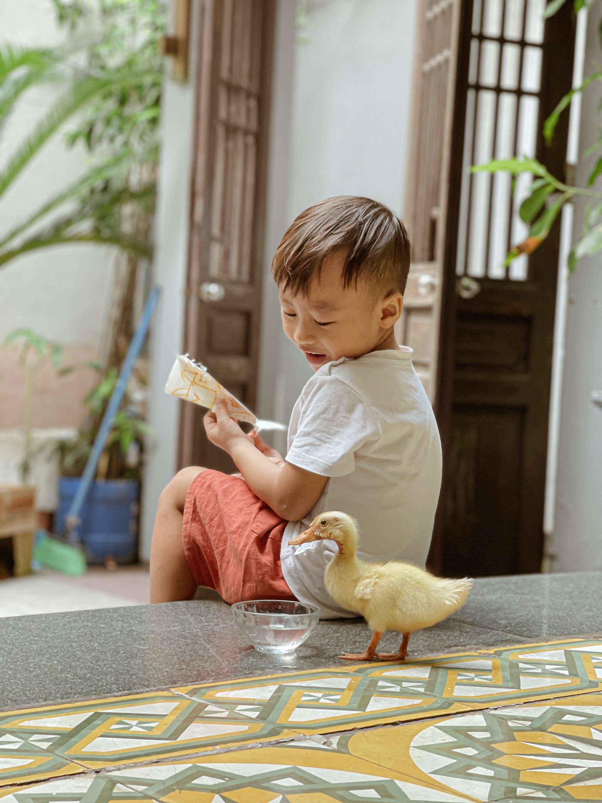 ap trung nuoi vit khi o nha gian cach anh 6