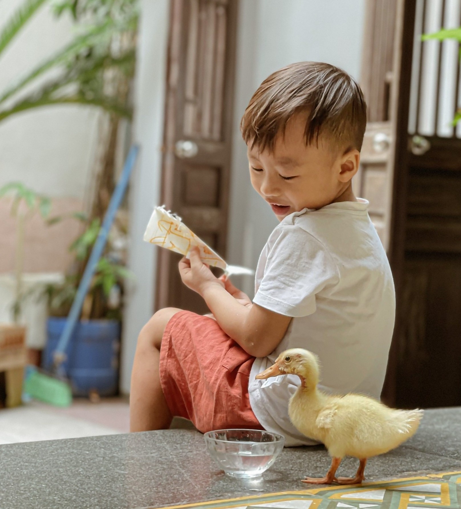 ap trung nuoi vit khi o nha gian cach anh 1