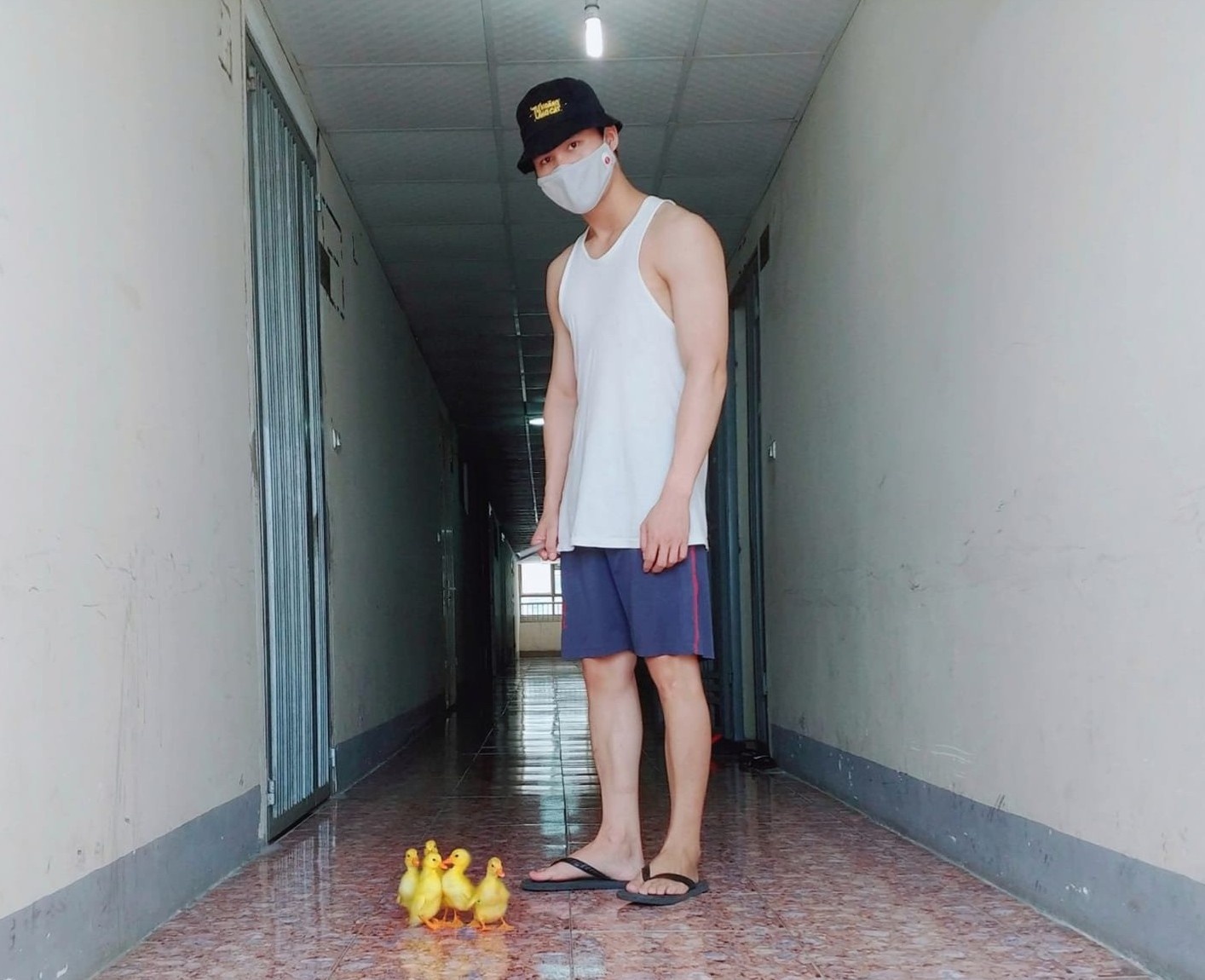 ấp trứng nuôi vịt khi ở nhà giãn cách ảnh 3 ap trung nuoi vit khi o nha gian cach anh 3