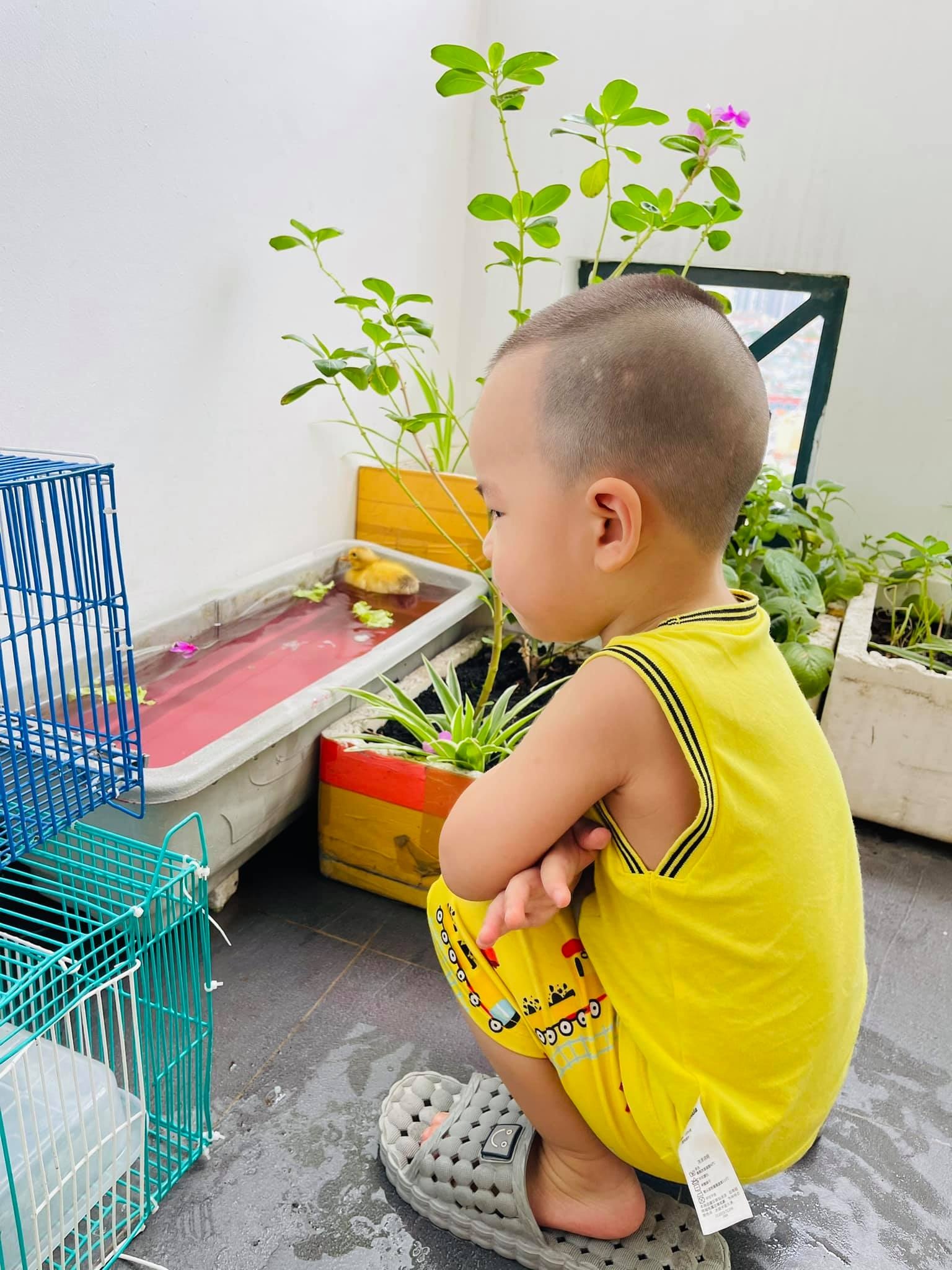 ấp trứng nuôi vịt khi ở nhà giãn cách ảnh 8 ap trung nuoi vit khi o nha gian cach anh 8