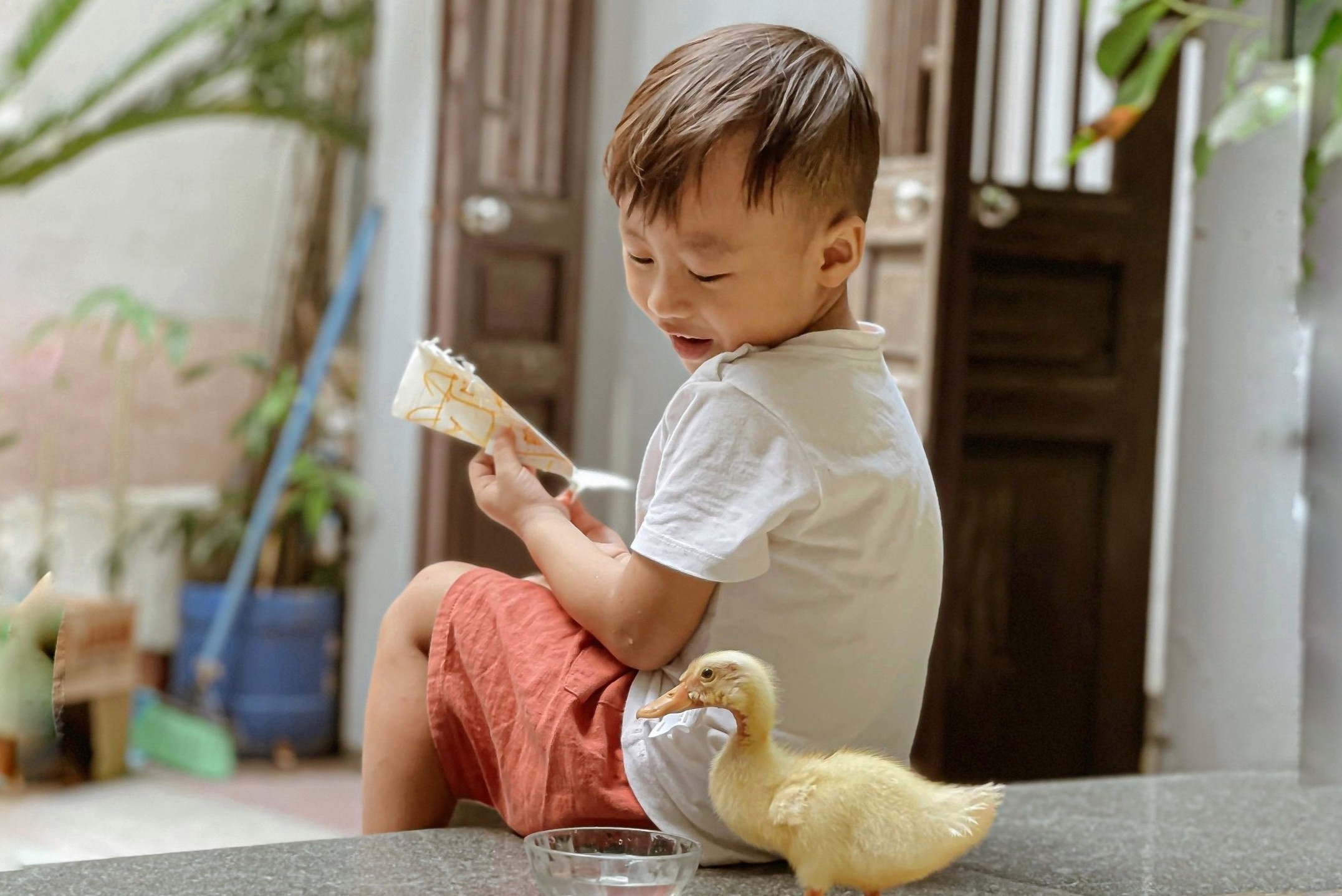 Tu ap trung, nuoi vit khi o nha gian cach hinh anh